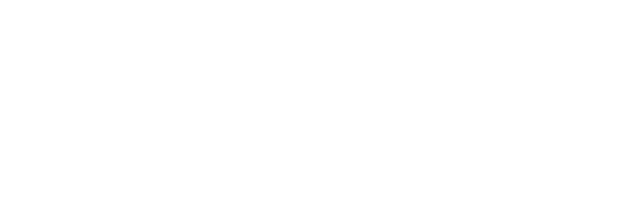 Revize
